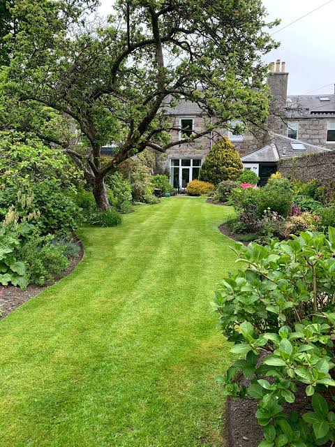 Landscaping Services in Romford
